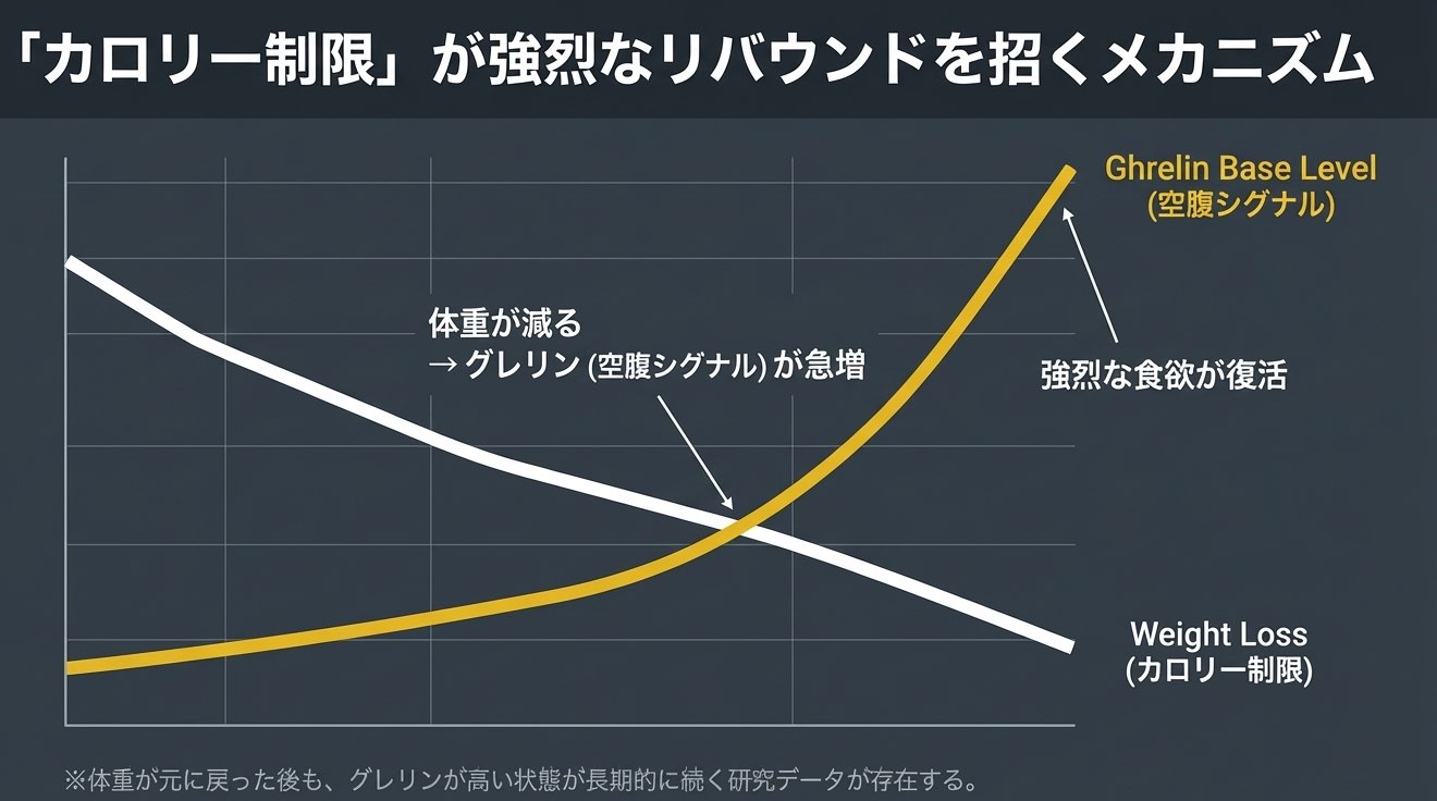 カロリー制限でグレリンが増えリバウンドしやすくなる流れを示す図